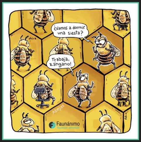 ABEJAS TRABAJANDO